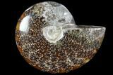 Polished, Agatized Ammonite (Cleoniceras) - Madagascar #88089-1